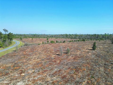 Tiny photo for TBD SW Lot #3, County Road 275, Blountstown, FL 32424 (MLS # 398034)