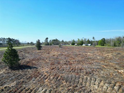 Tiny photo for TBD SW Lot #3, County Road 275, Blountstown, FL 32424 (MLS # 398034)