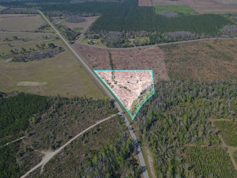 Photo of TBD SW Lot #3, County Road 275, Blountstown, FL 32424 (MLS # 398034)