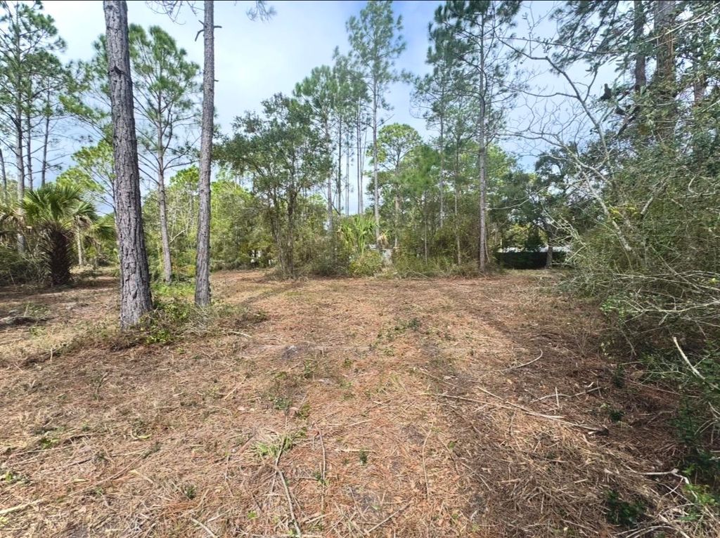 Photo of XX Chattahoochee Street, Panacea, FL 32346 (MLS # 396594)