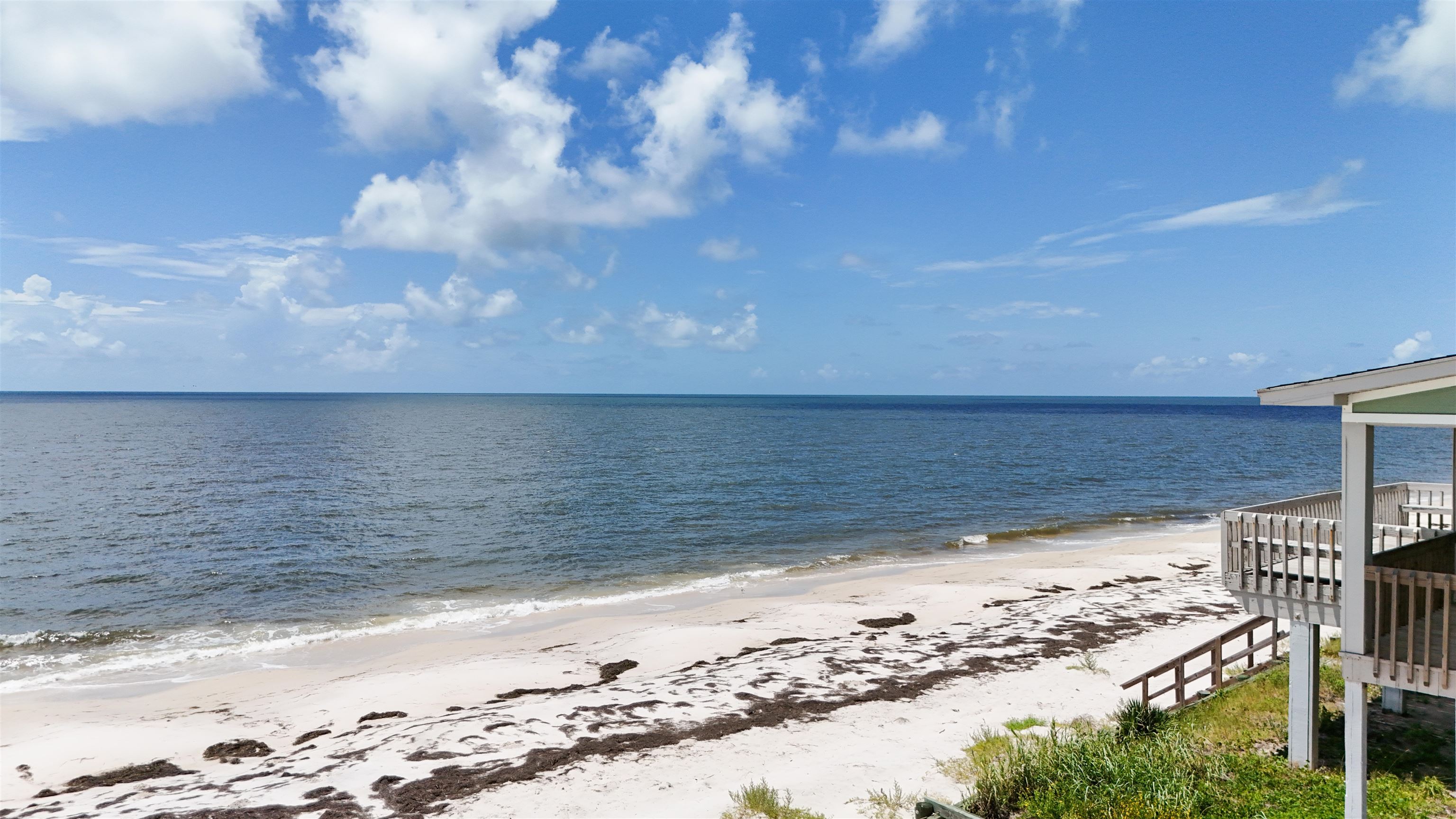 1219 Alligator Drive