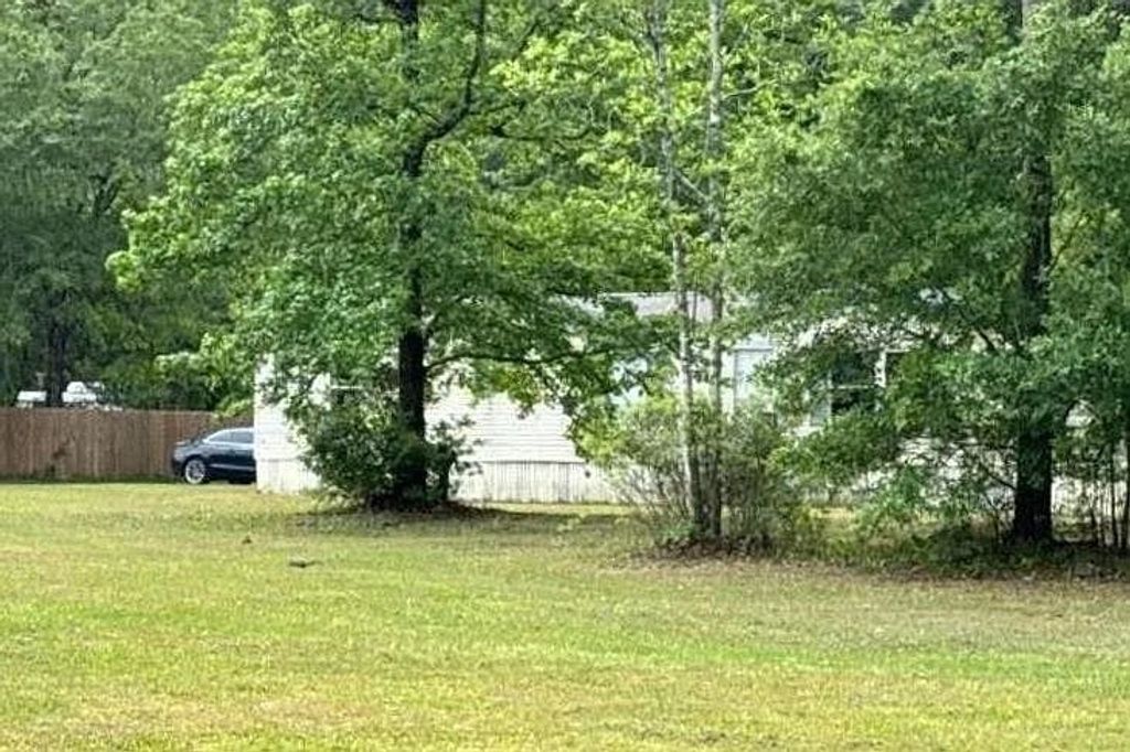 Photo of 86374 Macaw Road, Other Florida, FL 32097 (MLS # 400191)