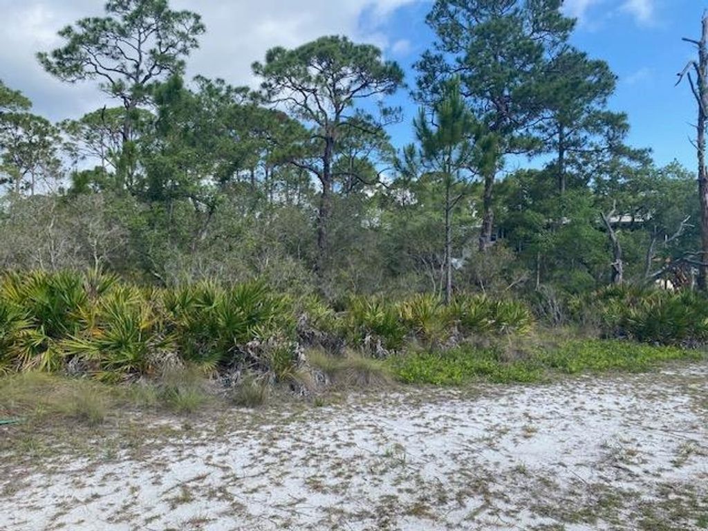 Photo of 23 Beechcraft Drive, Panacea, FL 32346 (MLS # 400111)