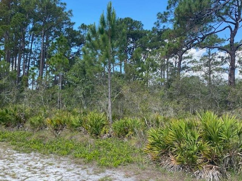 Photo of 23 Beechcraft Drive, Panacea, FL 32346 (MLS # 400111)