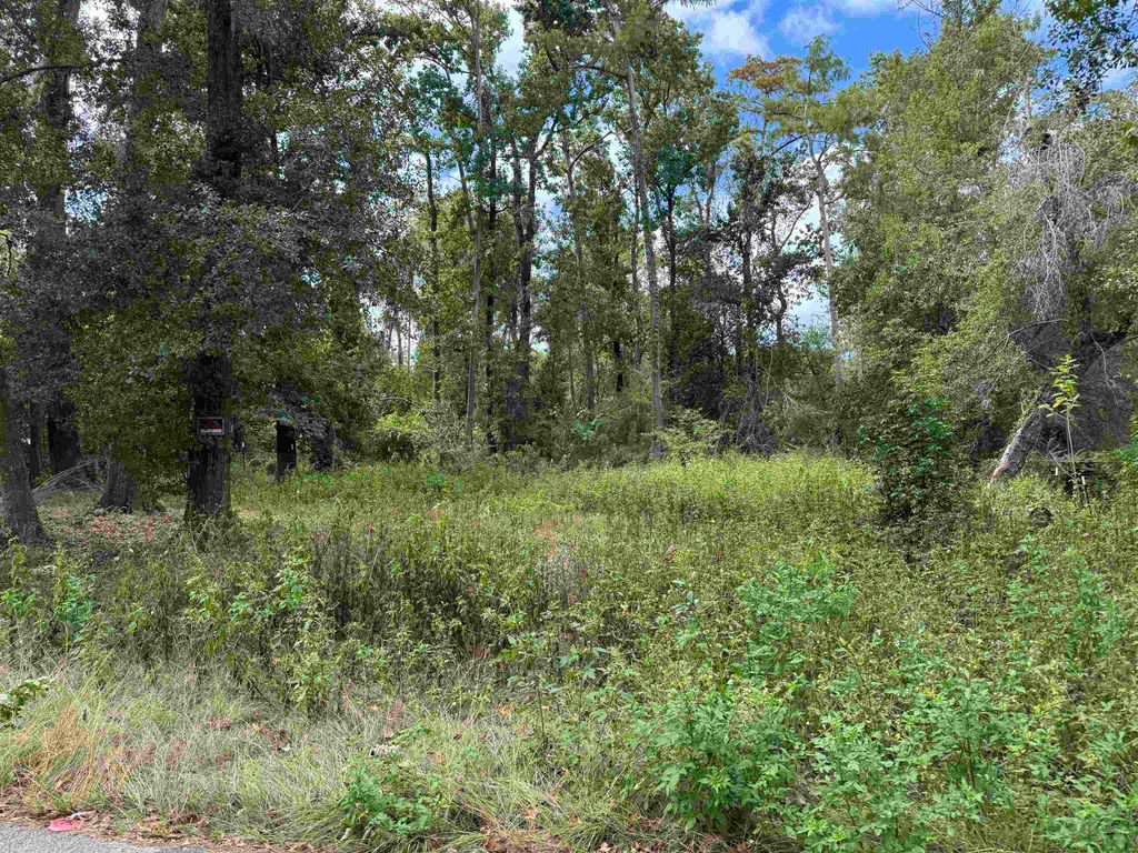 Photo of xxx Cactus Street, Tallahassee, FL 32304 (MLS # 391585)