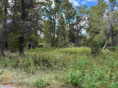 xxx Cactus Street Tallahassee FL 32304