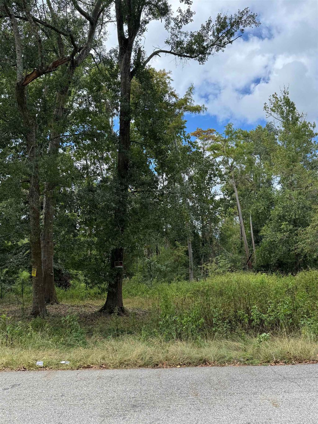 Photo of xxx Cactus Street, Tallahassee, FL 32304 (MLS # 391585)