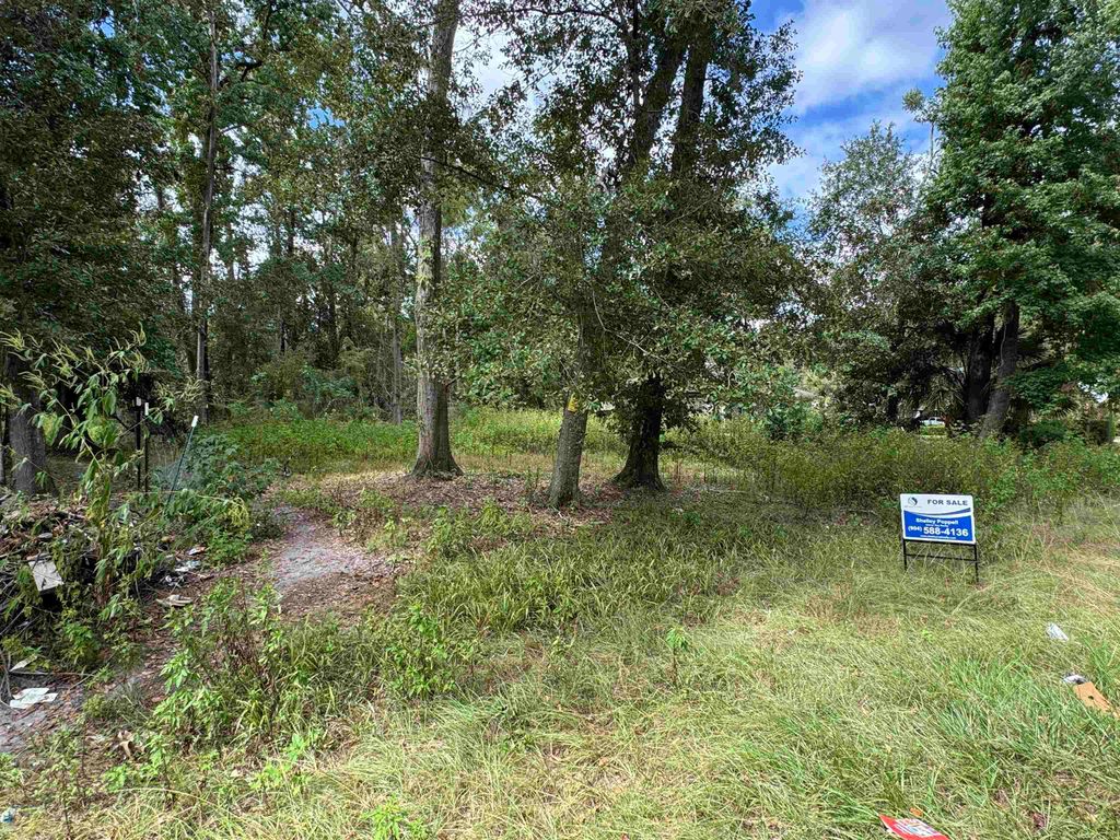 Photo of xxx Cactus Street, Tallahassee, FL 32304 (MLS # 391585)