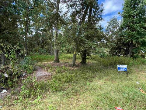 Tiny photo for xxx Cactus Street, Tallahassee, FL 32304 (MLS # 391585)