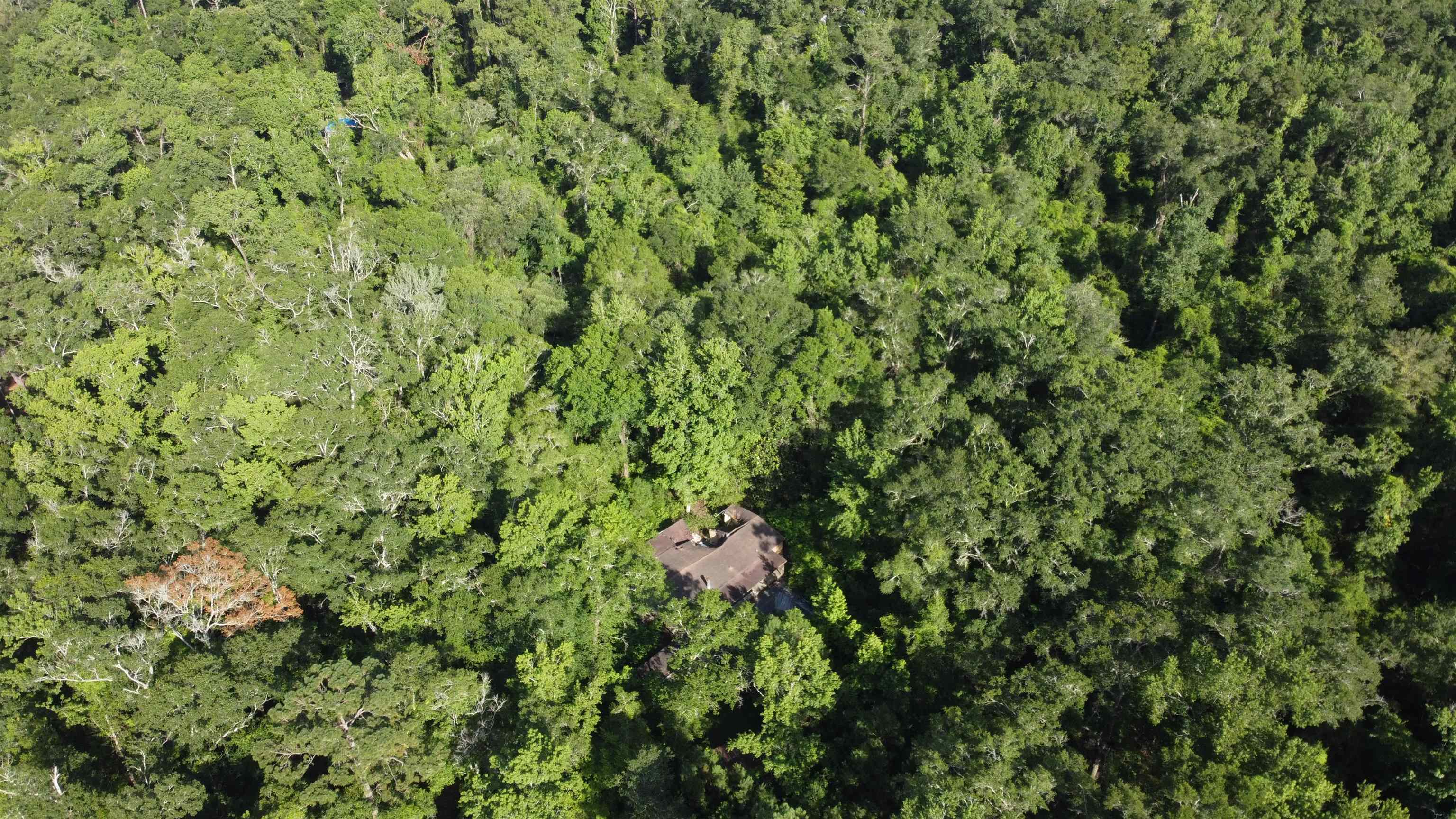 137 Shepards Easement