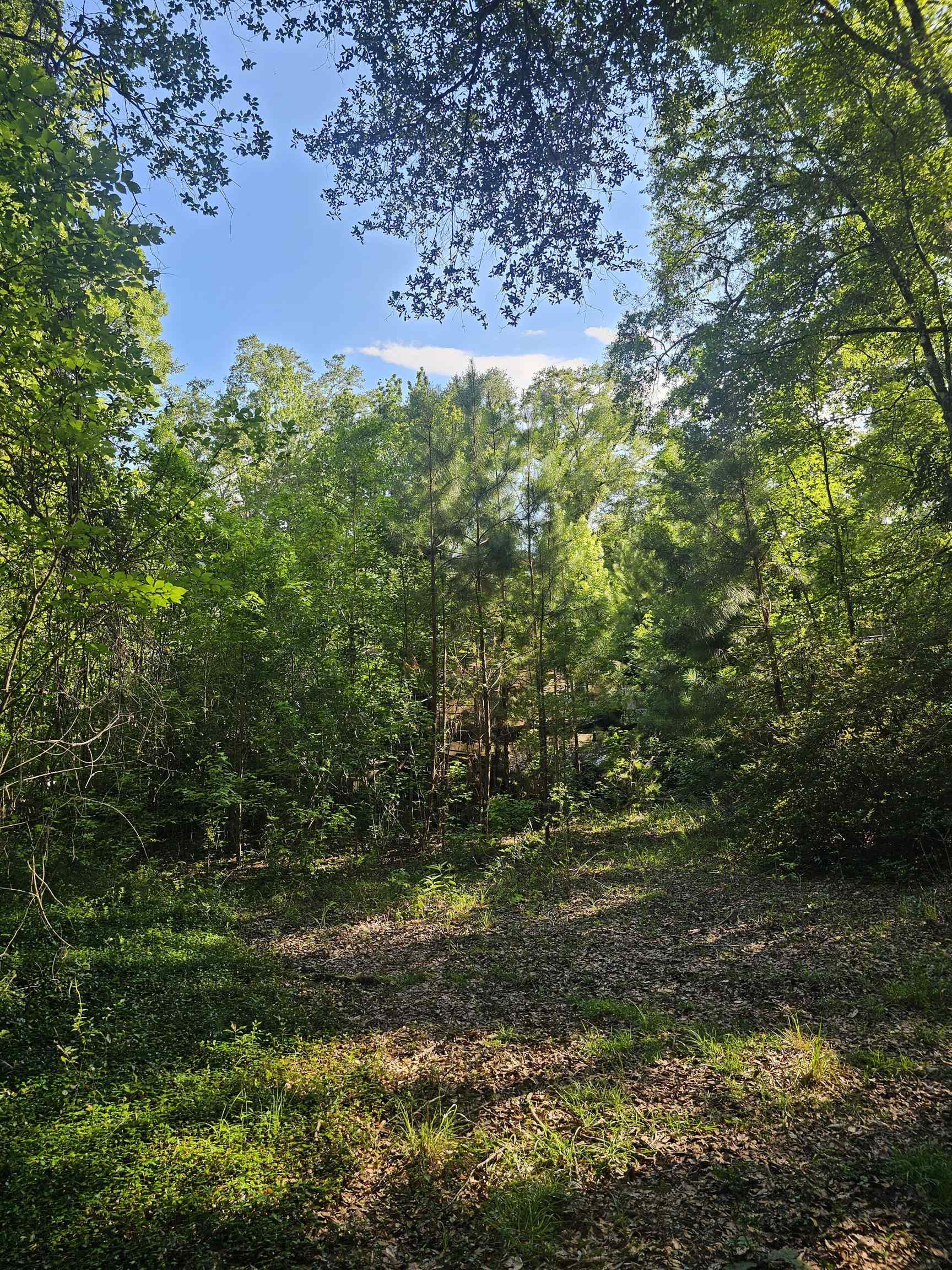 137 Shepards Easement