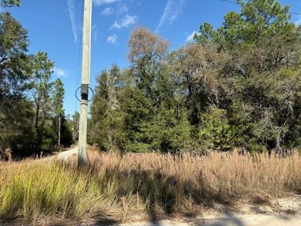 Photo of 000 78th Lane, Other Florida, FL 32621 (MLS # 393527)