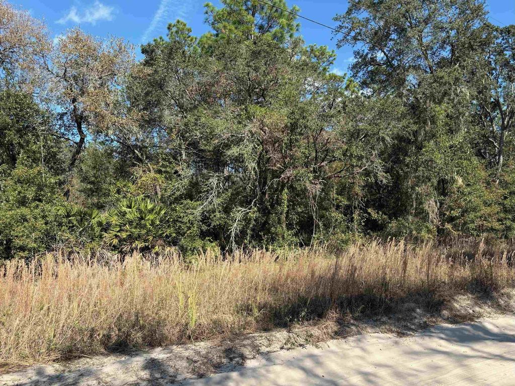Photo of 000 78th Lane, Other Florida, FL 32621 (MLS # 393527)