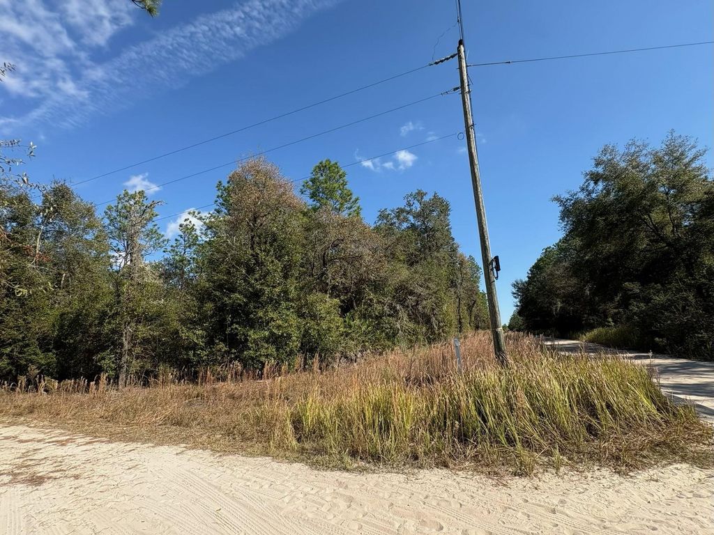 Photo of 000 78th Lane, Other Florida, FL 32621 (MLS # 393527)