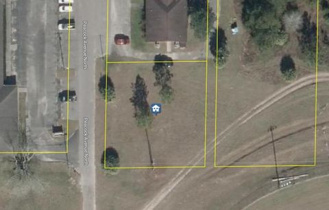 Tiny photo for xxx N Peacock Avenue, Perry, FL 32348 (MLS # 396921)