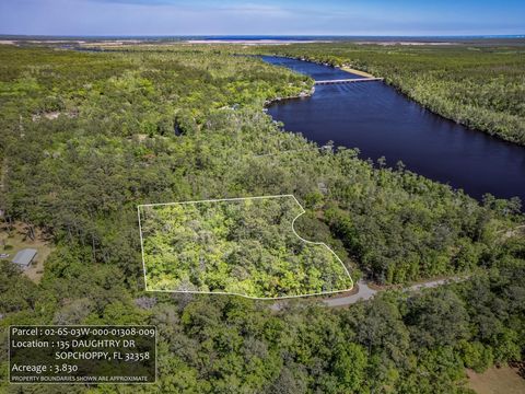 135 Daughtry Drive Sopchoppy FL 32358
