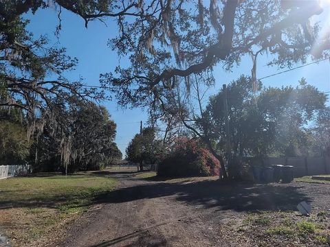 Tiny photo for 13213 Elm Street, Other Florida, FL 33556 (MLS # 399279)