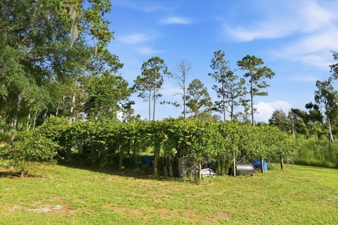 Tiny photo for 4567 Loren Henderson Rd RD, Perry, FL 32347 (MLS # 401774)