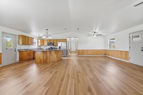 Tiny photo for 4567 Loren Henderson Rd RD, Perry, FL 32347 (MLS # 401774)