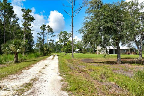 Tiny photo for 4567 Loren Henderson Rd RD, Perry, FL 32347 (MLS # 401774)