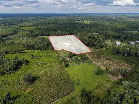 Tiny photo for 4567 Loren Henderson Rd RD, Perry, FL 32347 (MLS # 401774)