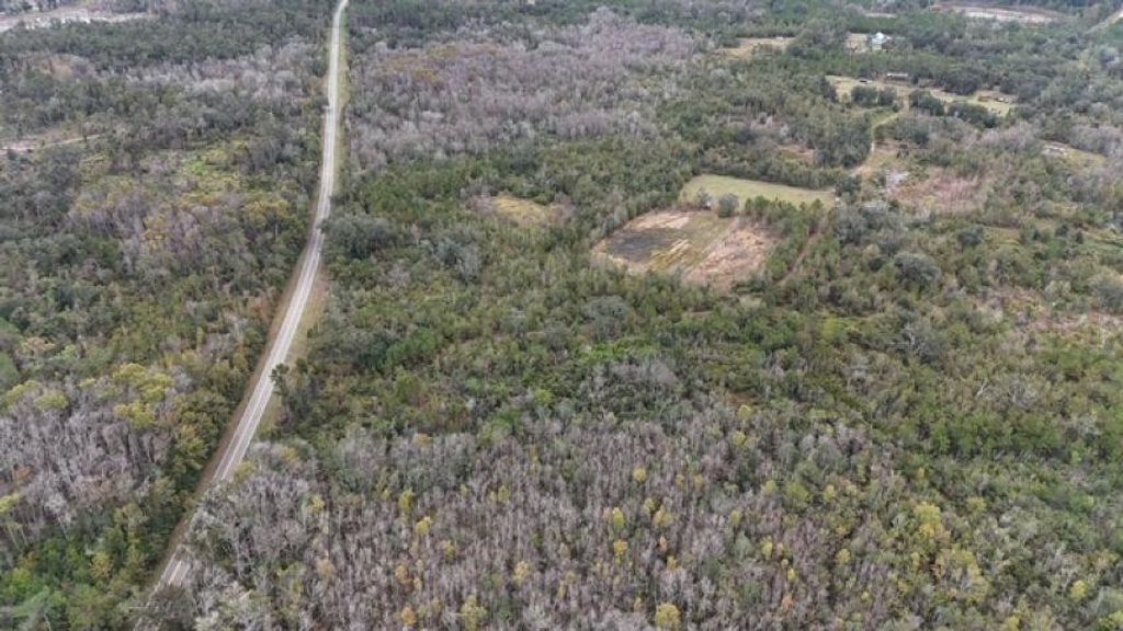 Photo of 5001 NW Little Cat Road, Madison, FL 32340 (MLS # 393762)