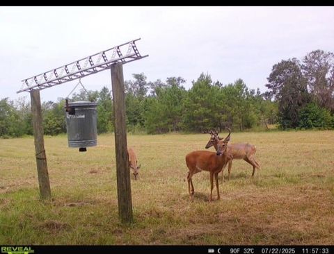 5001 NW Little Cat Road Madison FL 32340