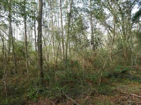 Tiny photo for xxx Thomasville Road, Tallahassee, FL 32312 (MLS # 383289)
