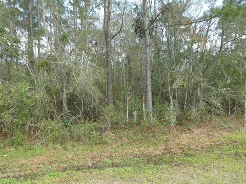 Tiny photo for xxx Thomasville Road, Tallahassee, FL 32312 (MLS # 383289)