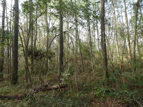Tiny photo for xxx Thomasville Road, Tallahassee, FL 32312 (MLS # 383289)