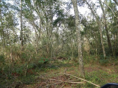 Tiny photo for xxx Thomasville Road, Tallahassee, FL 32312 (MLS # 383289)