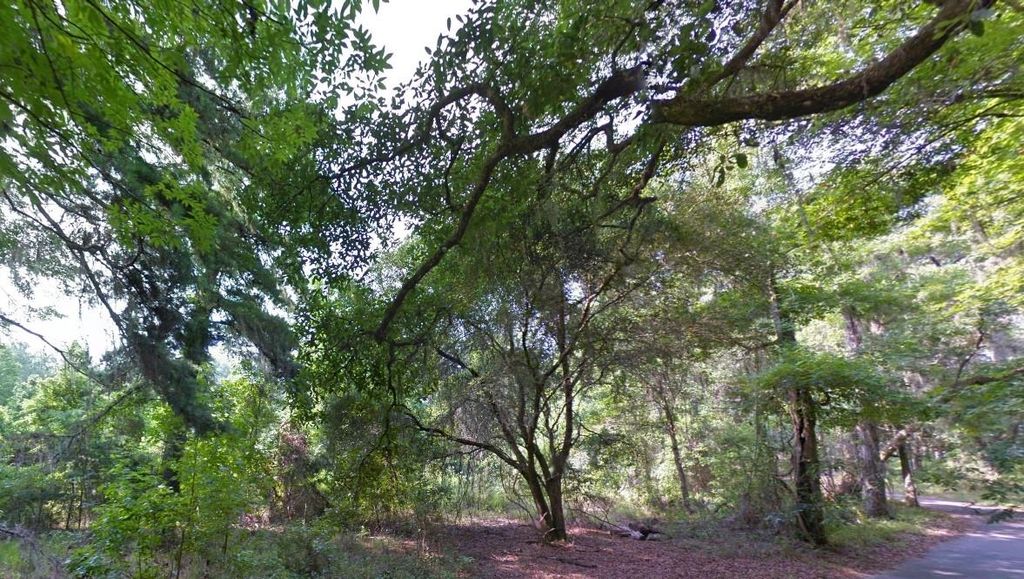 Photo of 000 Moorhen Circle, Tallahassee, FL 32312 (MLS # 393535)