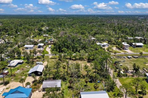 Tiny photo for 303 NW Second Street, Steinhatchee, FL 32359 (MLS # 401771)
