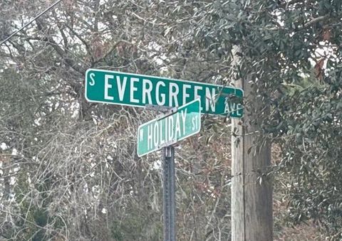 Tiny photo for 4708 S Evergreen Avenue, Other Florida, FL 34446 (MLS # 400420)