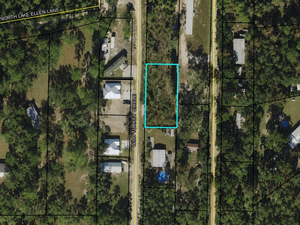 Photo of 0 Wild Turkey Circle, Crawfordville, FL 32327 (MLS # 399055)