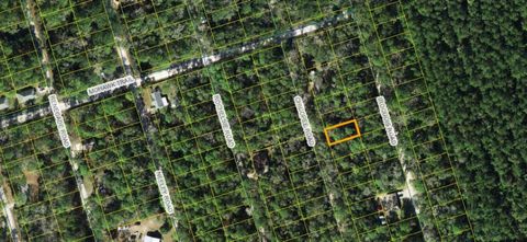 xx Chicopee Road Crawfordville FL 32327