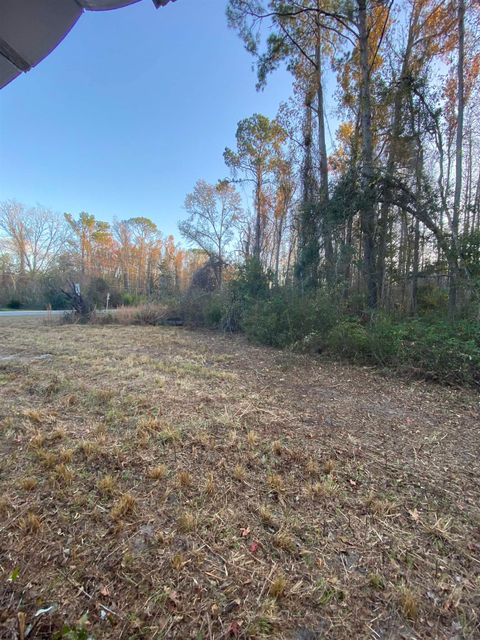 Tiny photo for 7983 N SR 53, Madison, FL 32340 (MLS # 394411)
