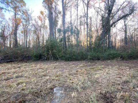 Tiny photo for 7983 N SR 53, Madison, FL 32340 (MLS # 394411)