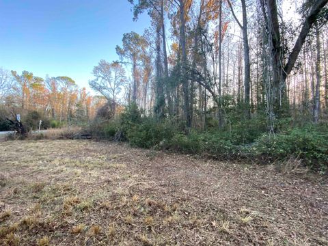 Tiny photo for 7983 N SR 53, Madison, FL 32340 (MLS # 394411)
