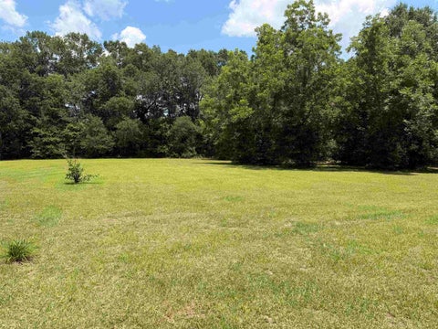 Tiny photo for 5323 Fairbanks Ferry Road, Havana, FL 32333 (MLS # 401937)
