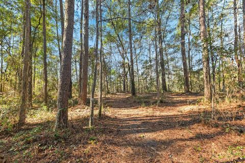 Tiny photo for 8702 Miles Johnson Road, Tallahassee, FL 32309 (MLS # 395212)