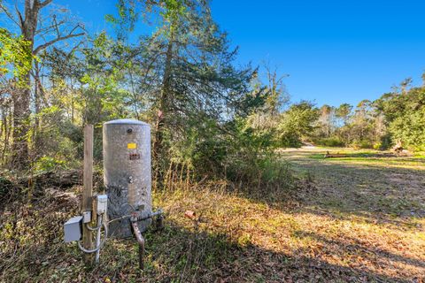 Tiny photo for 8702 Miles Johnson Road, Tallahassee, FL 32309 (MLS # 395212)