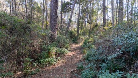 Tiny photo for 8702 Miles Johnson Road, Tallahassee, FL 32309 (MLS # 395212)