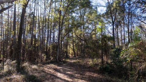 Tiny photo for 8702 Miles Johnson Road, Tallahassee, FL 32309 (MLS # 395212)