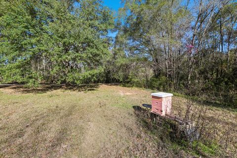 Tiny photo for 8702 Miles Johnson Road, Tallahassee, FL 32309 (MLS # 395212)