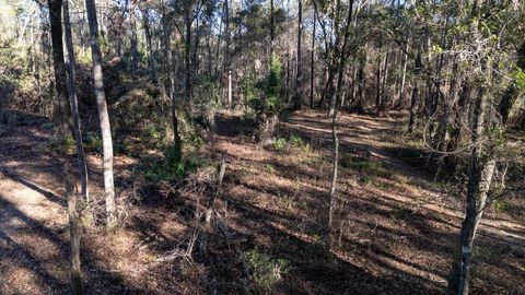 Tiny photo for 8702 Miles Johnson Road, Tallahassee, FL 32309 (MLS # 395212)