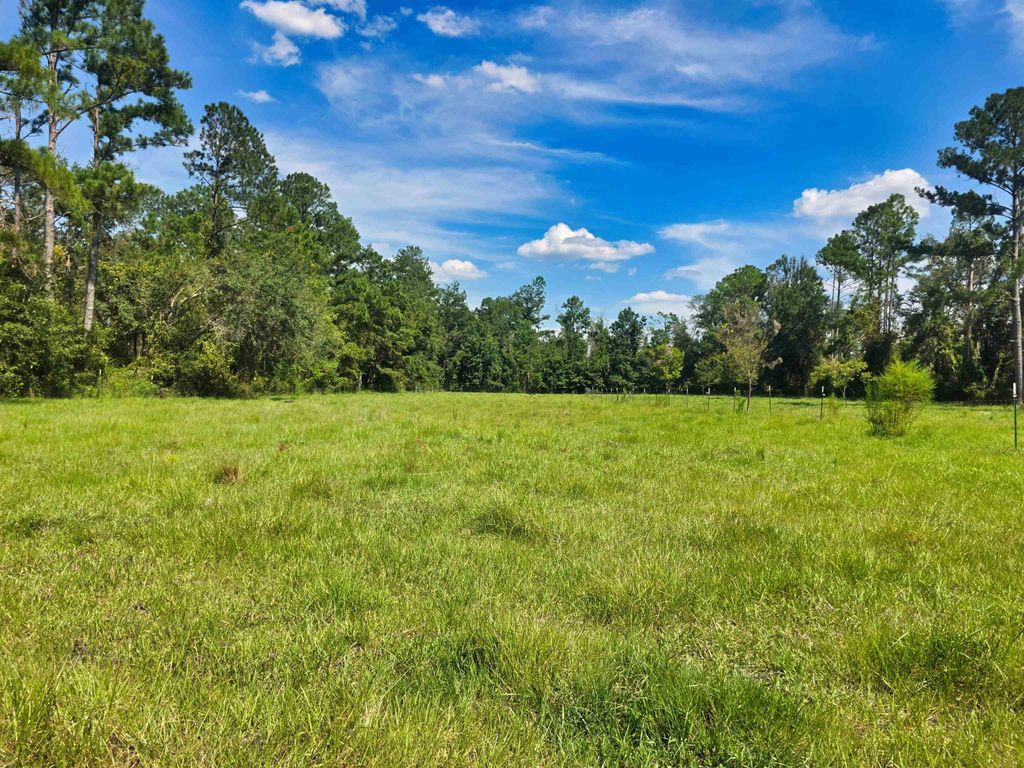 Photo of 183 SW Jim Clark Road, Madison, FL 32340 (MLS # 390737)