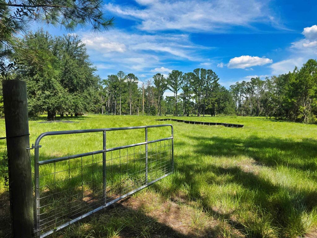 Photo of 183 SW Jim Clark Road, Madison, FL 32340 (MLS # 390737)