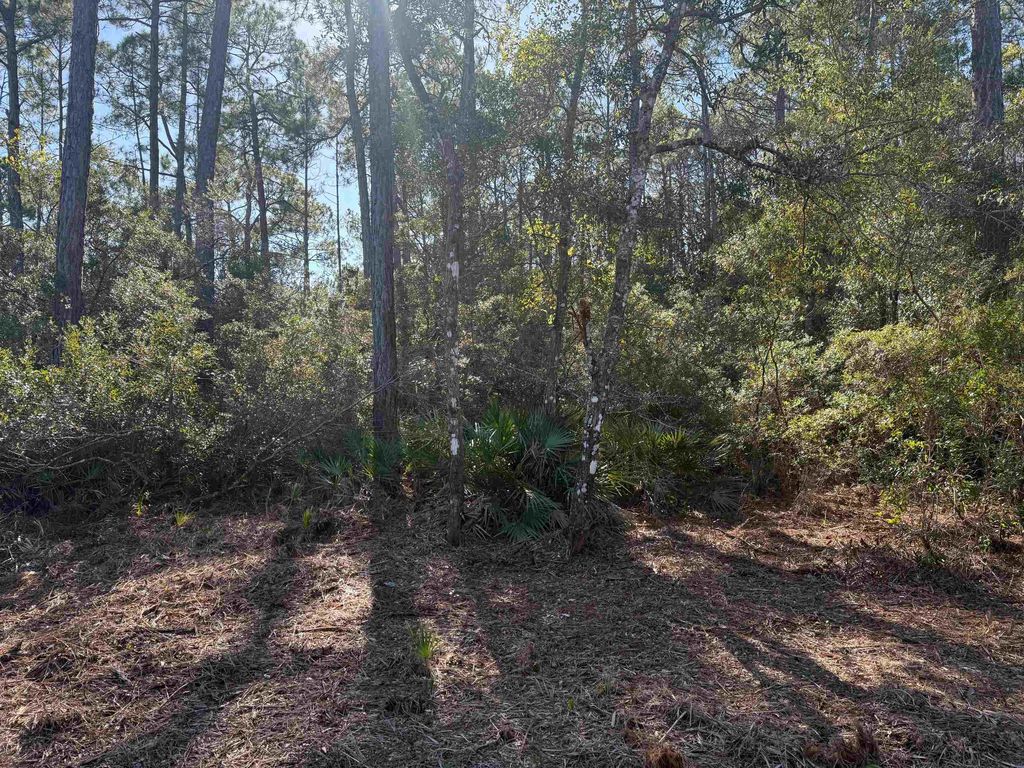 Photo of xx Normans Way, Panacea, FL 32346 (MLS # 394232)