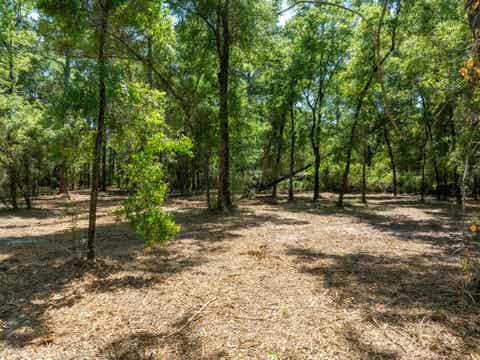 Featured picture for the property 371552